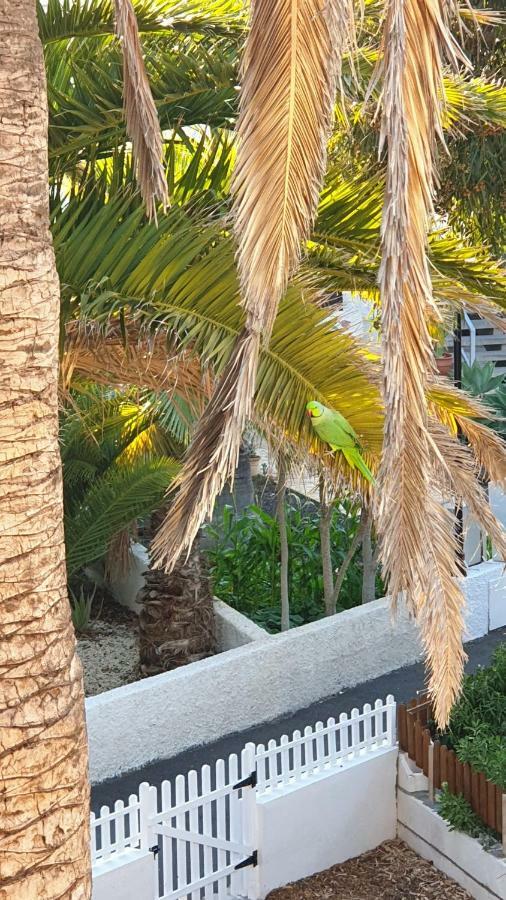 ארונה Studio With Garden מראה חיצוני תמונה